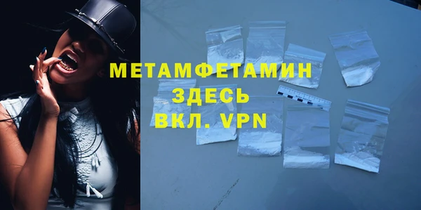 прущие грибы Богородск