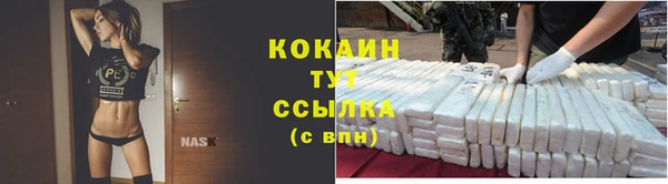 прущие грибы Богородск