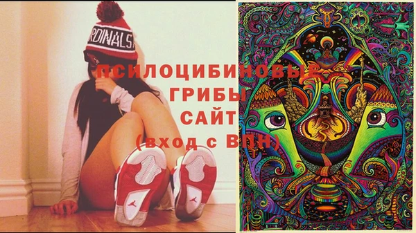 сатива Богородицк