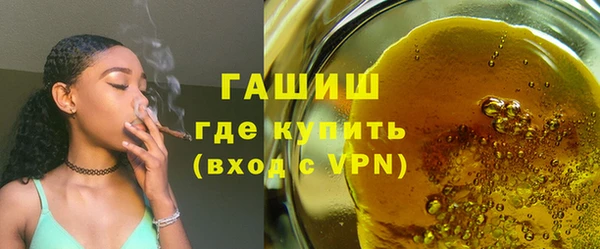 индика Бородино
