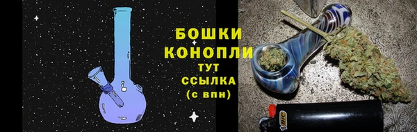 прущие грибы Богородск