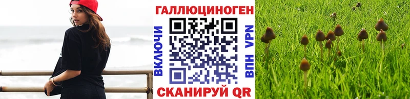 как найти   гидра ссылка  Псилоцибиновые грибы мухоморы  Кириши 